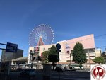 IMG_5056 (Copy)
