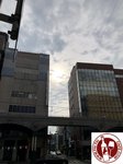IMG_4864 (Copy)