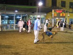 IMG_5777