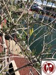 IMG_2363 (Copy)