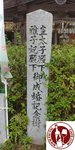 GTDM7312 (Copy)