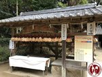 IMG_2035 (Copy)