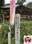 IMG_2042 (Copy)