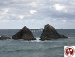 IMG_2044 (Copy)