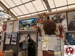 IMG_2106 (Copy)