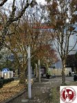 IMG_4245 (Copy)