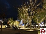 IMG_4250 (Copy)
