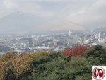 IMG_3733 (Copy)