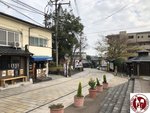 IMG_3727 (Copy)