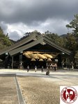 IMG_9451 (Copy)