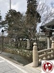 IMG_9457 (Copy)