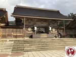 IMG_9463 (Copy)