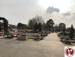IMG_4633 (Copy)