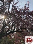 IMG_4638 (Copy)