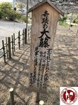 IMG_4643 (Copy)