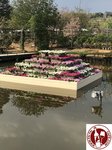 IMG_4645 (Copy)
