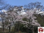 IMG_4623 (Copy)