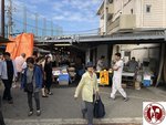 IMG_0734 (Copy)