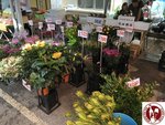 IMG_0748 (Copy)