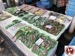 IMG_0752 (Copy)