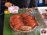IMG_0766 (Copy)