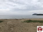 IMG_9979 (Copy)