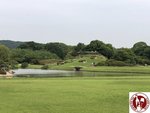 IMG_9123 (Copy)