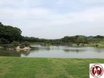 IMG_9124 (Copy)