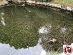 IMG_9125 (Copy)