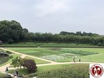 IMG_9134 (Copy)