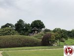IMG_9139 (Copy)