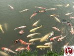 IMG_9153 (Copy)