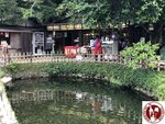 IMG_E9130 (Copy)