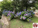 IMG_9072 (Copy)