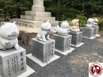 IMG_9081 (Copy)