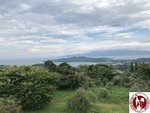 IMG_8796 (Copy)