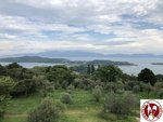 IMG_8798 (Copy)