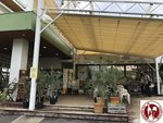 IMG_8804 (Copy)