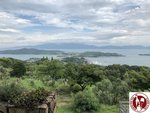 IMG_8809 (Copy)