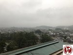 IMG_9777 (Copy)