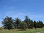 IMG_6765