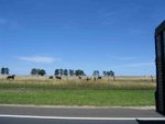 IMG_6766