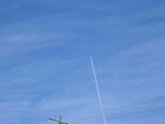 IMG_6769