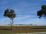 IMG_6773