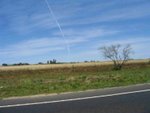 IMG_6774