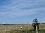 IMG_6783
