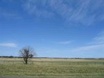 IMG_6785