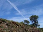 IMG_6786