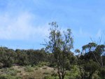IMG_6788