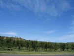 IMG_6791